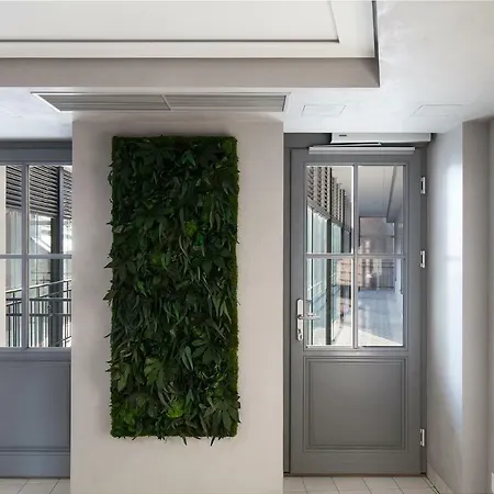 Apartment Somnia