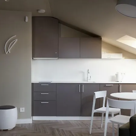 Somnia 公寓 维尔纽斯